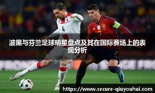 波黑与芬兰足球明星盘点及其在国际赛场上的表现分析