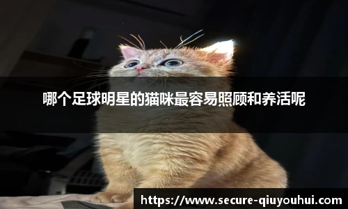 球友会体育